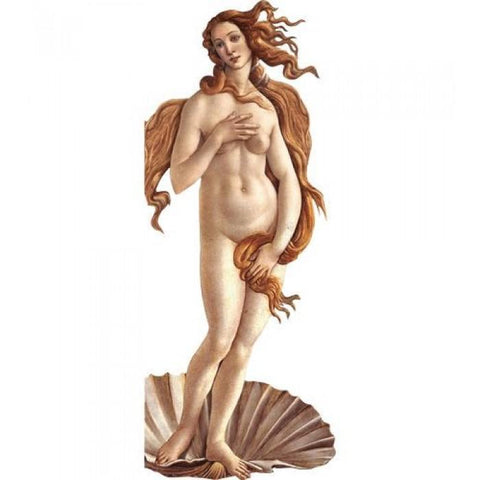 Botticelli's The Birth Of Venus