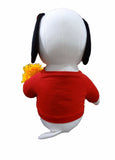 snoopy y sus amigos