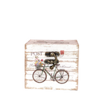 Caja bicicleta