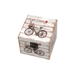 Caja bicicleta