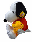 snoopy y sus amigos